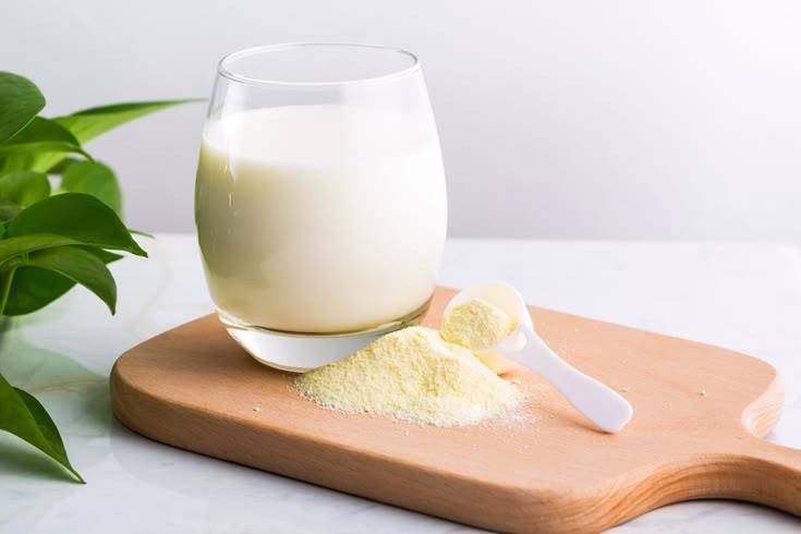 Skim Milk Powder vs Whole Milk Powder
