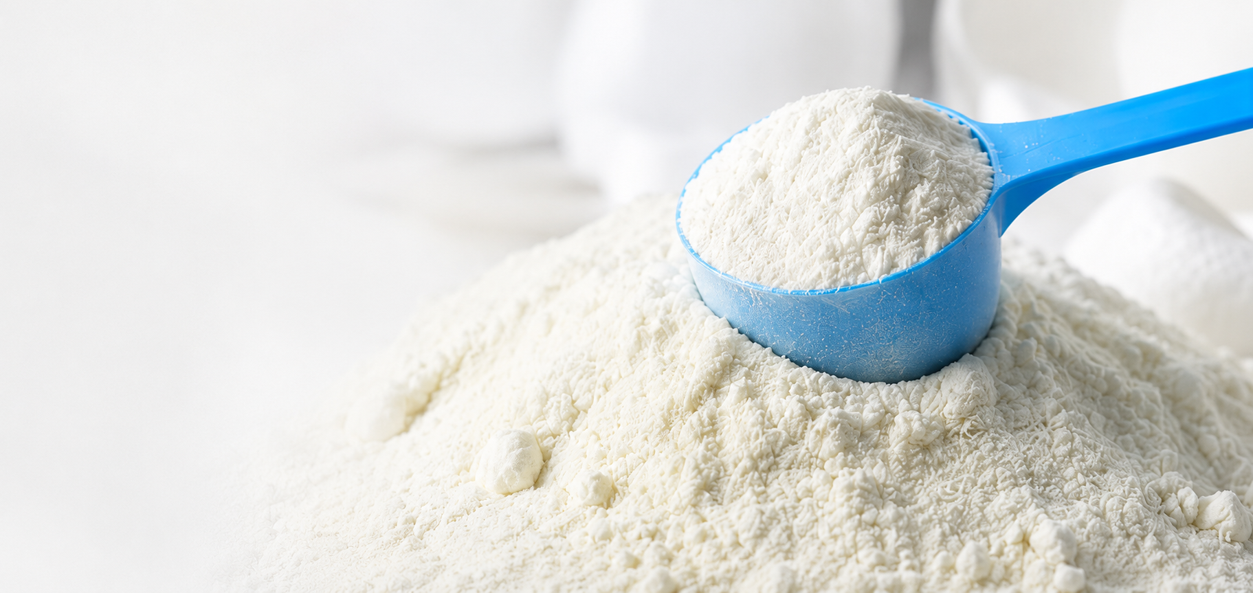 Premium industrial milk powder supplier for global food manufacturers